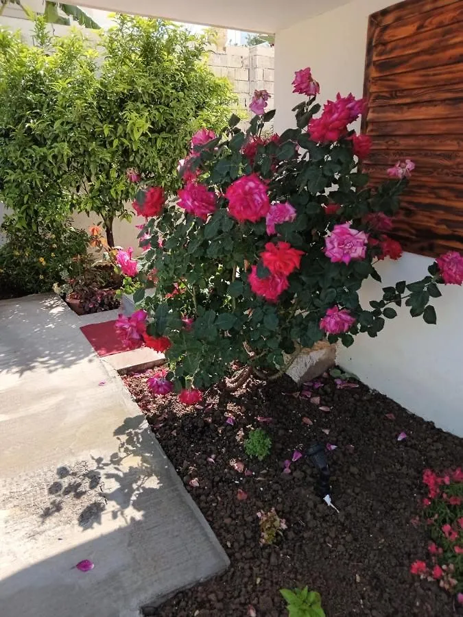 ***  Hotel Four Islands Ksamil Albanien